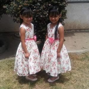 Meet your Posher, Hector